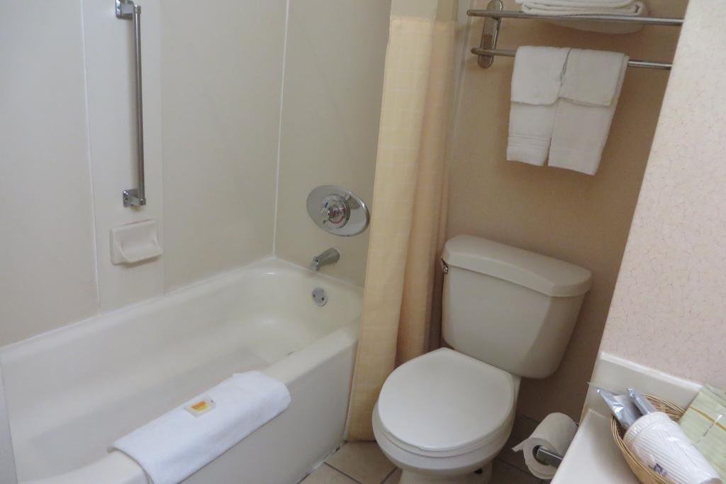 Standard Double Room with Two Double Beds - Non-Smoking